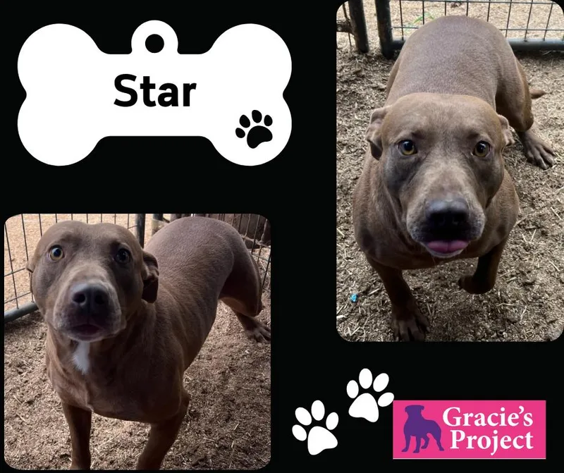 Star thumbnail 3