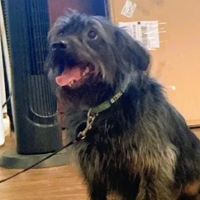 Taco Crunch thumbnail 2