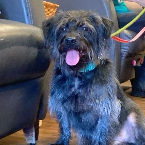 Taco Crunch thumbnail 3