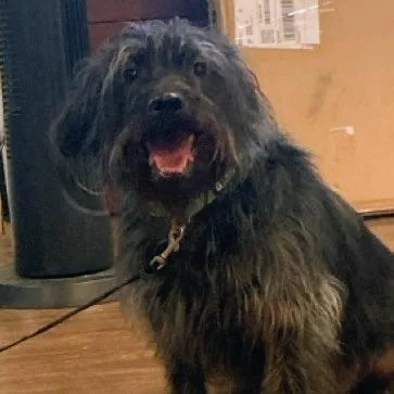 Taco Crunch thumbnail 4