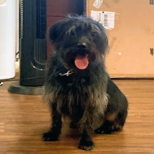 Taco Crunch thumbnail 5