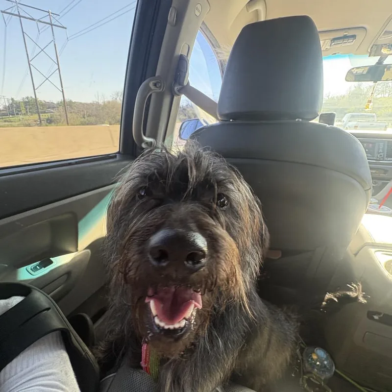 Taco Crunch thumbnail 6