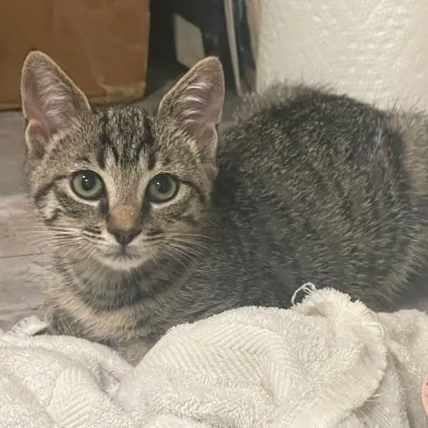 Lilly Mae thumbnail 3