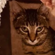 Lilly Mae thumbnail 4