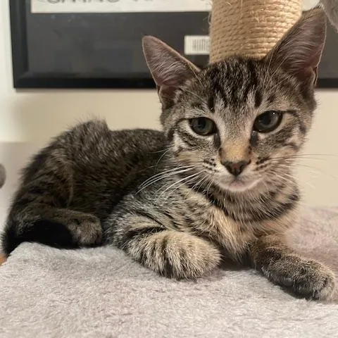 Lilly Mae thumbnail 5