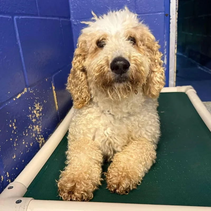 Ct Barkley thumbnail 2