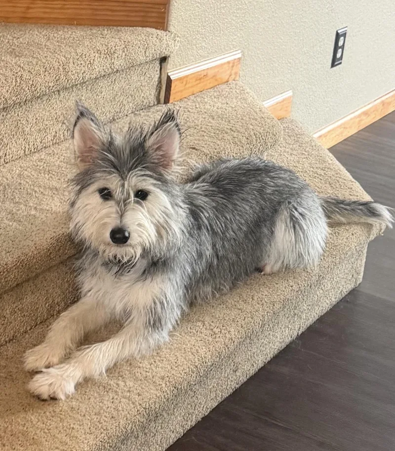Yuki