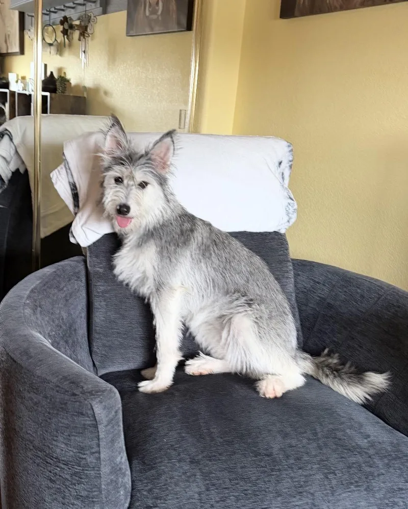 Yuki thumbnail 2