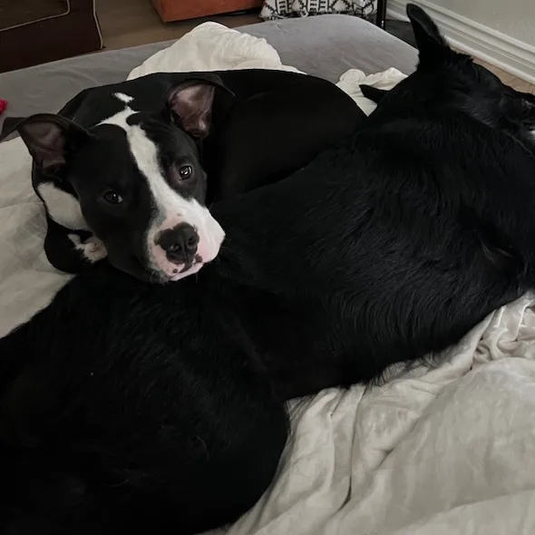 Charlie "peanut" Brown thumbnail 4