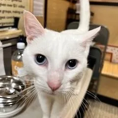 Aaron Purr thumbnail 2