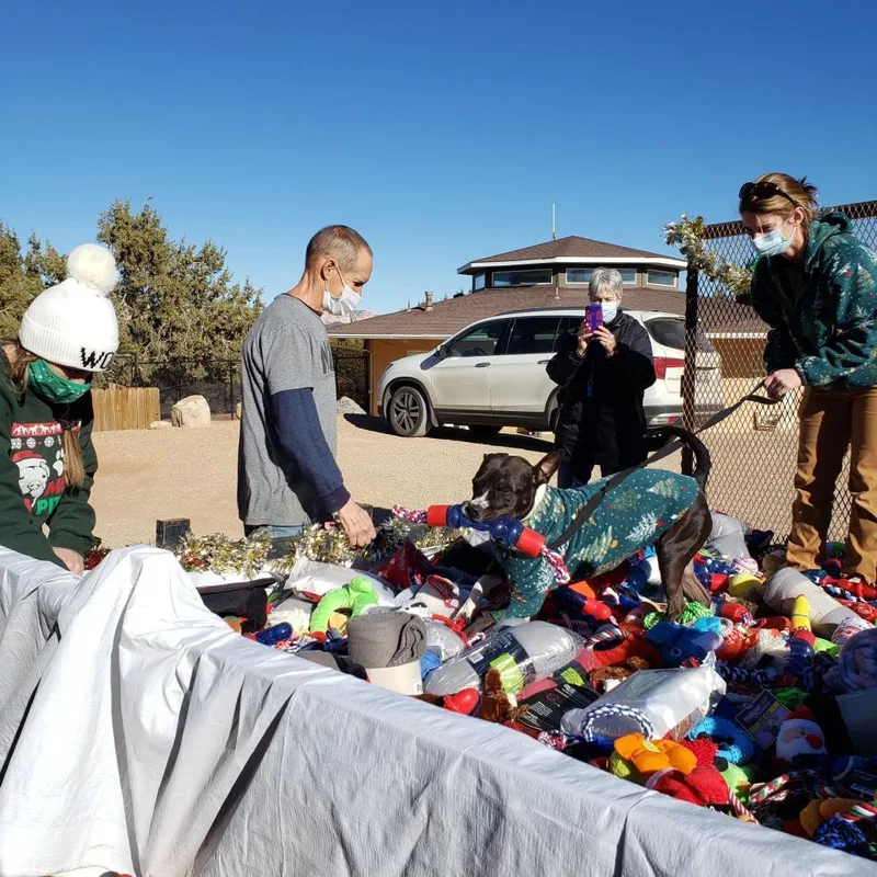 Tequila Rose thumbnail 2