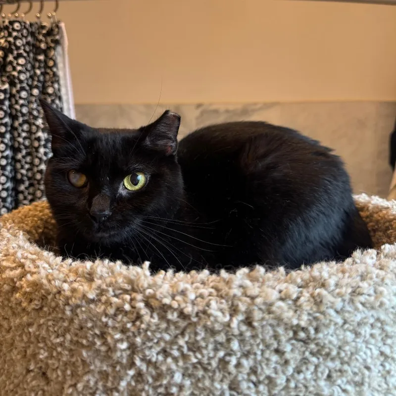Slinky thumbnail 6