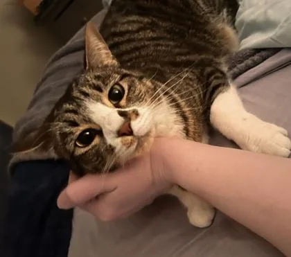 Remus Yr+ thumbnail 2