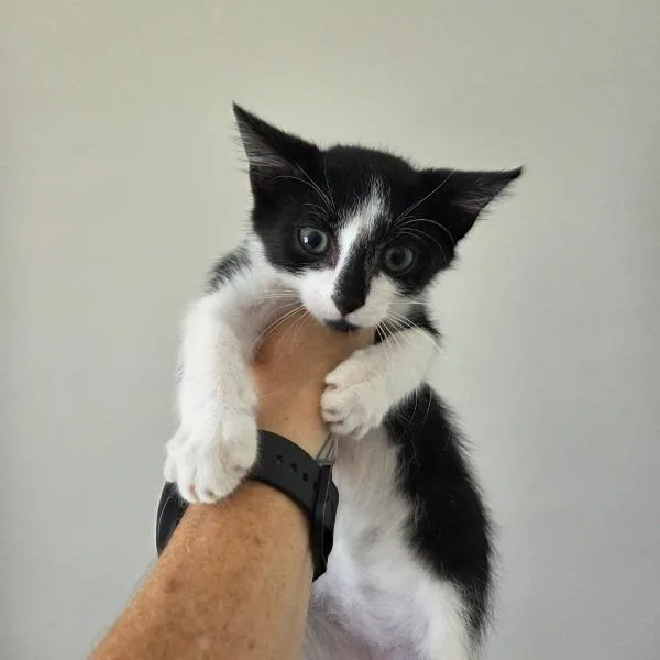 Smudge thumbnail 2