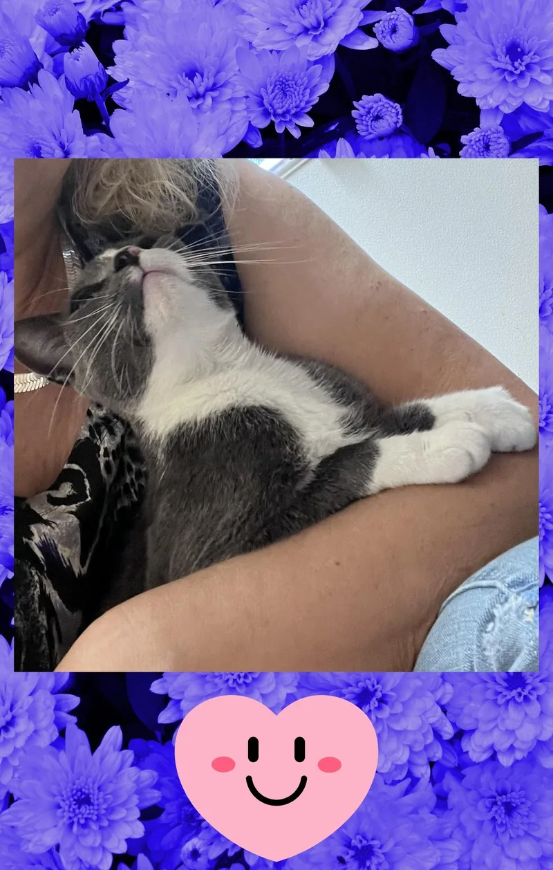 Chloe thumbnail 2
