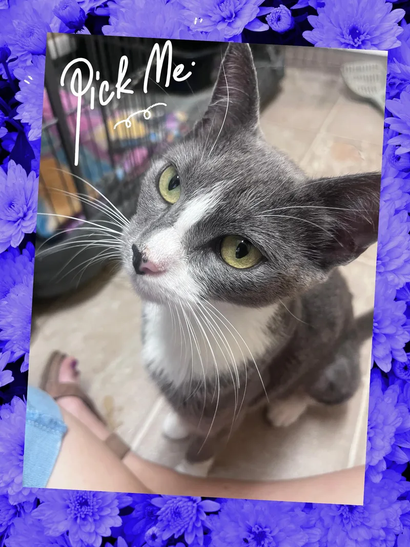 Chloe thumbnail 3