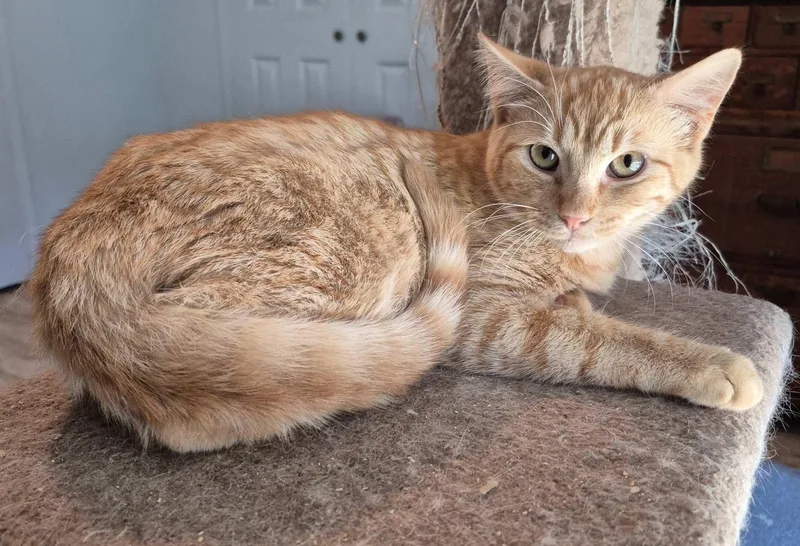 Neville And Angus thumbnail 2