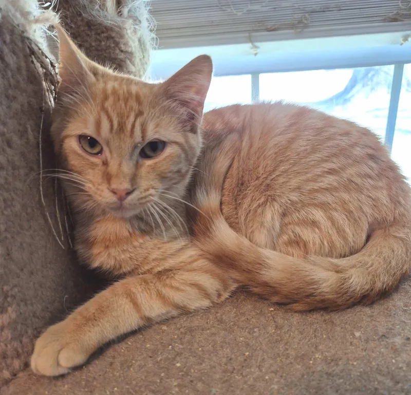 Neville And Angus thumbnail 4