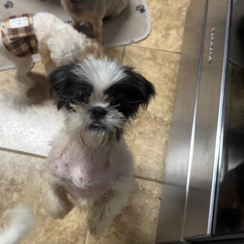 Stormi Faith thumbnail 2