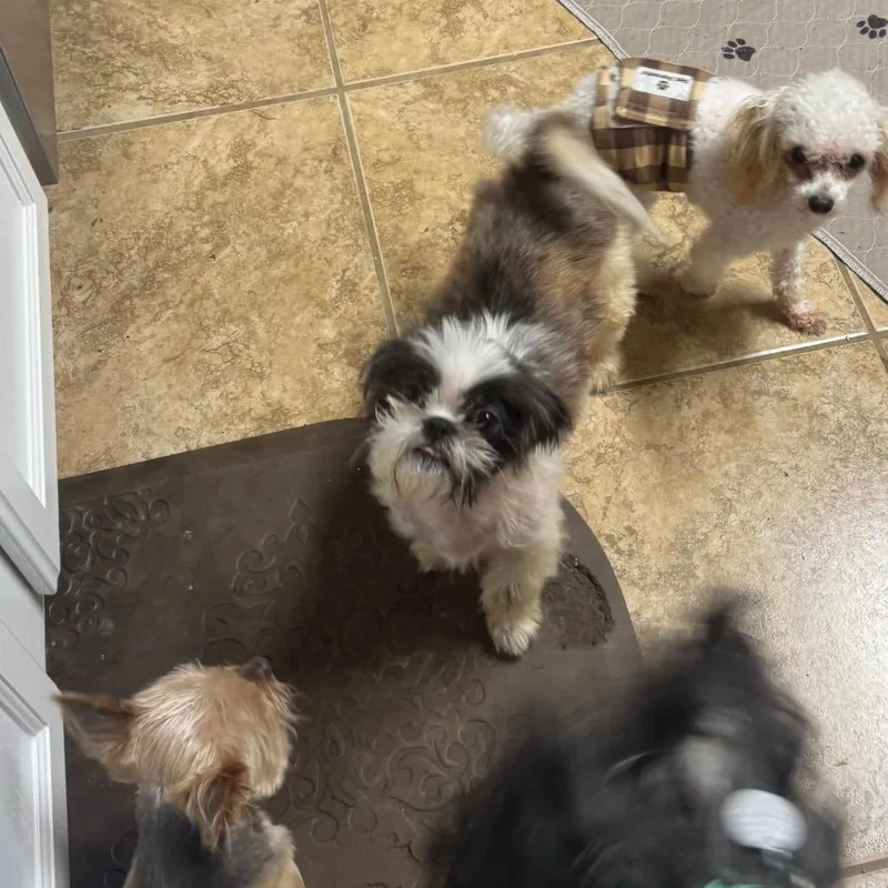 Stormi Faith thumbnail 3