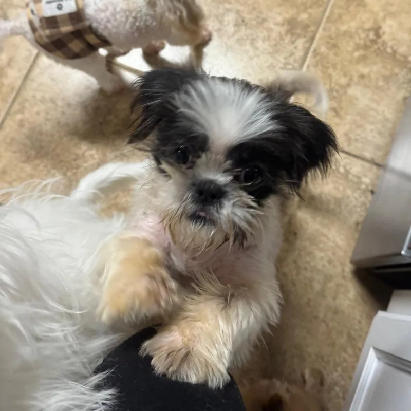 Stormi Faith thumbnail 4