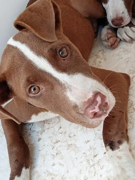 Jack