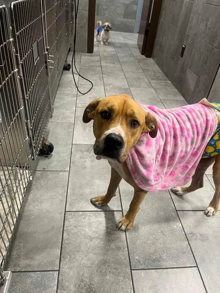 Toby Bean thumbnail 2