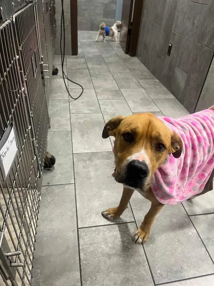 Toby Bean thumbnail 3