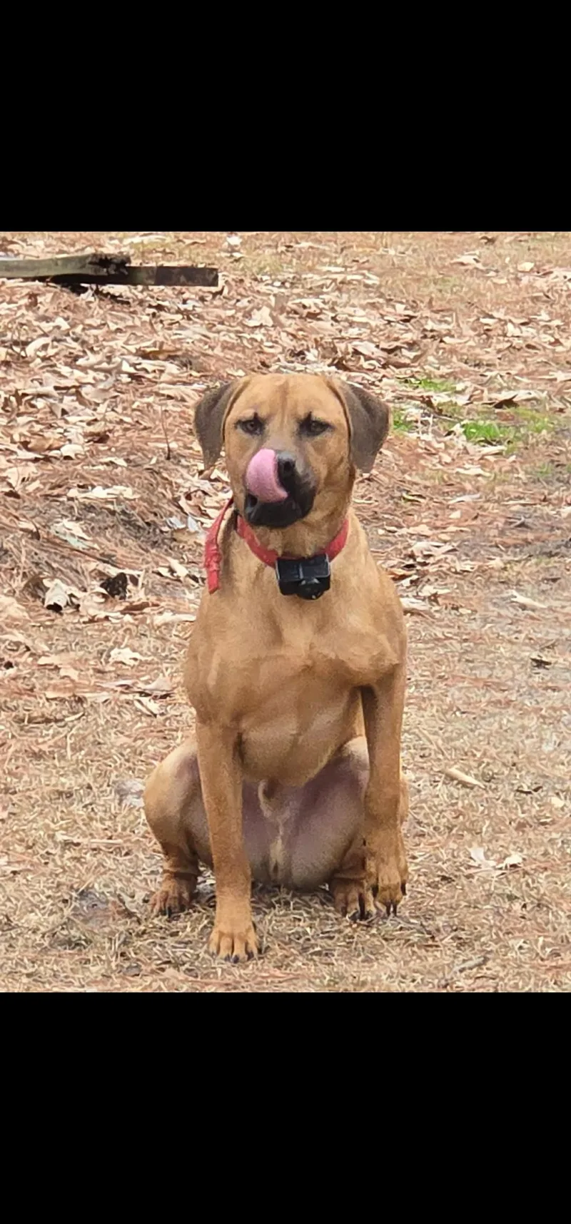 Caramel Latte thumbnail 2