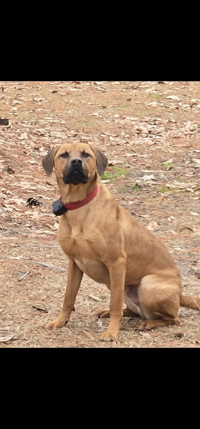 Caramel Latte thumbnail 3