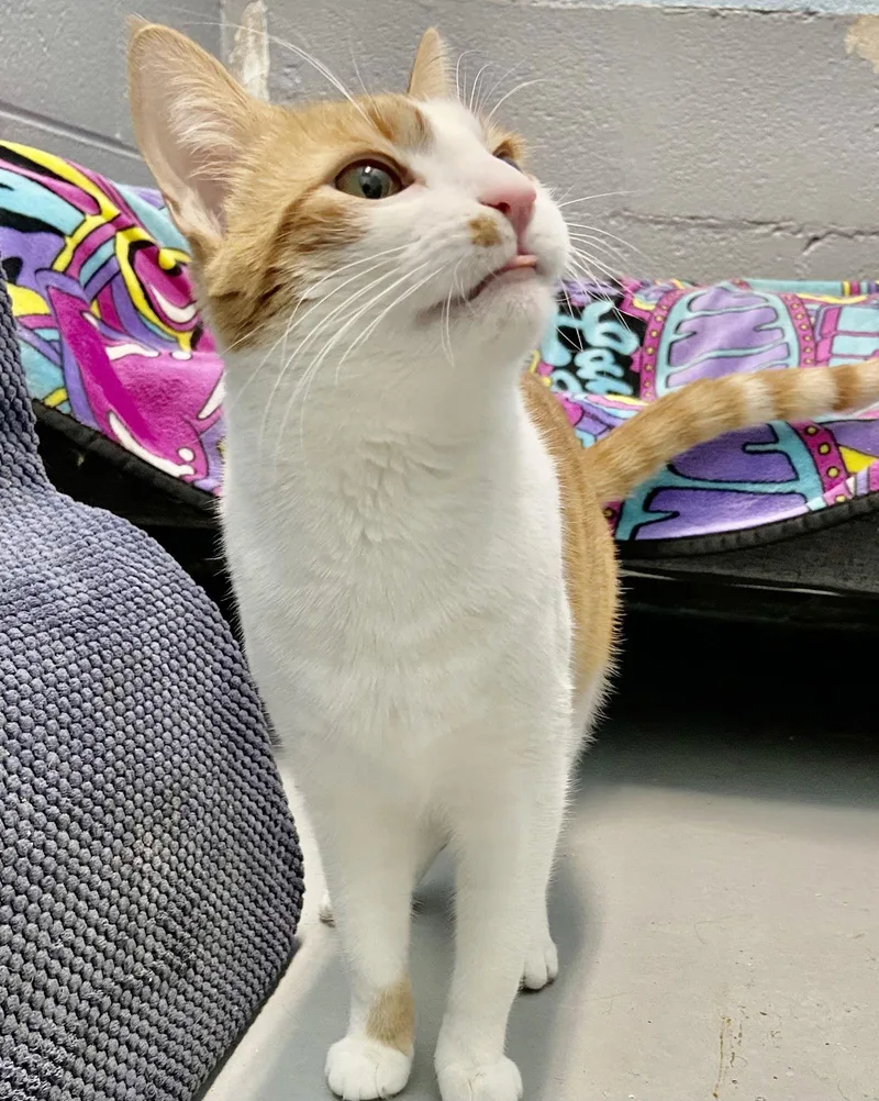 Venus: Visit At Petsmart