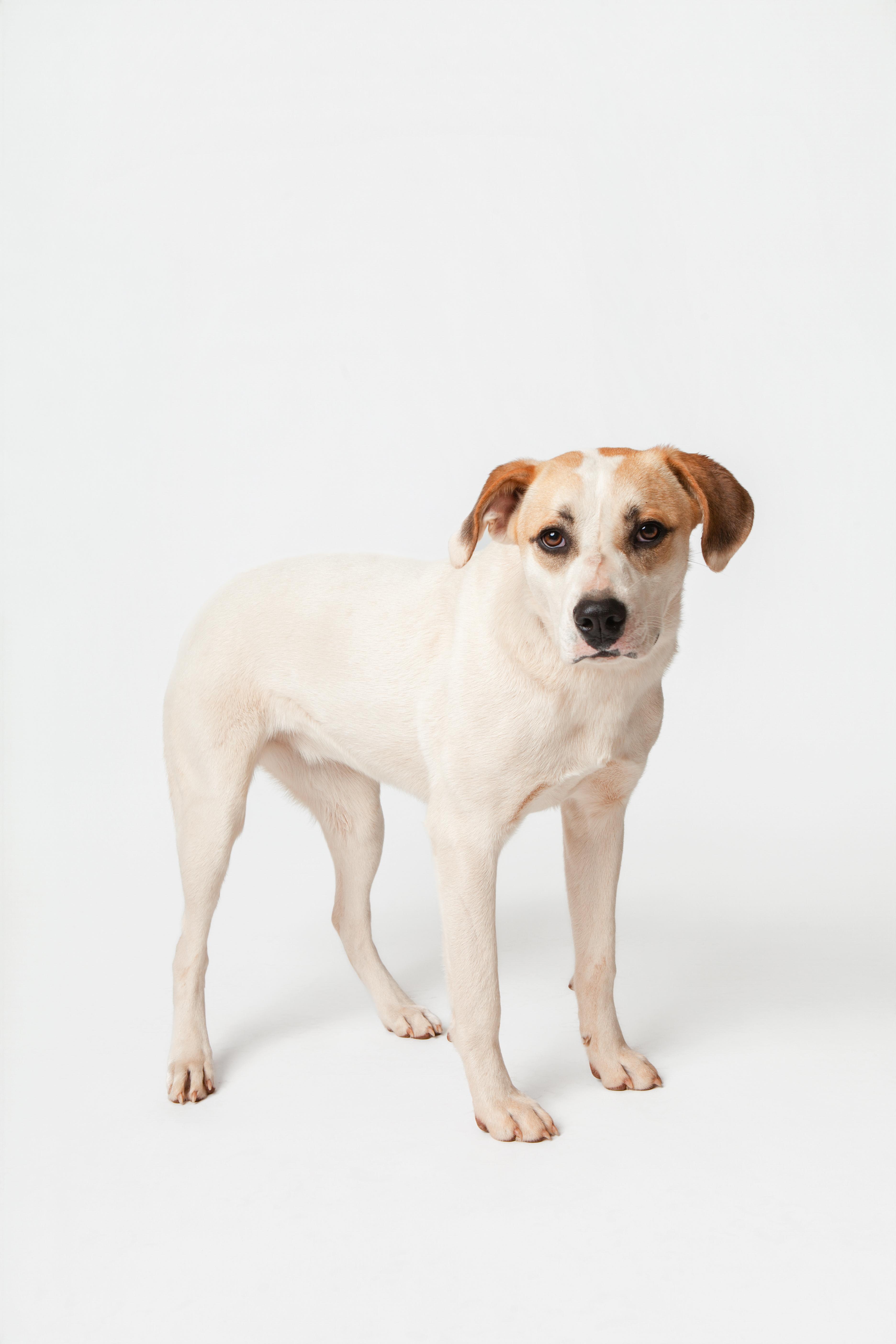 Jalen Williams thumbnail 2