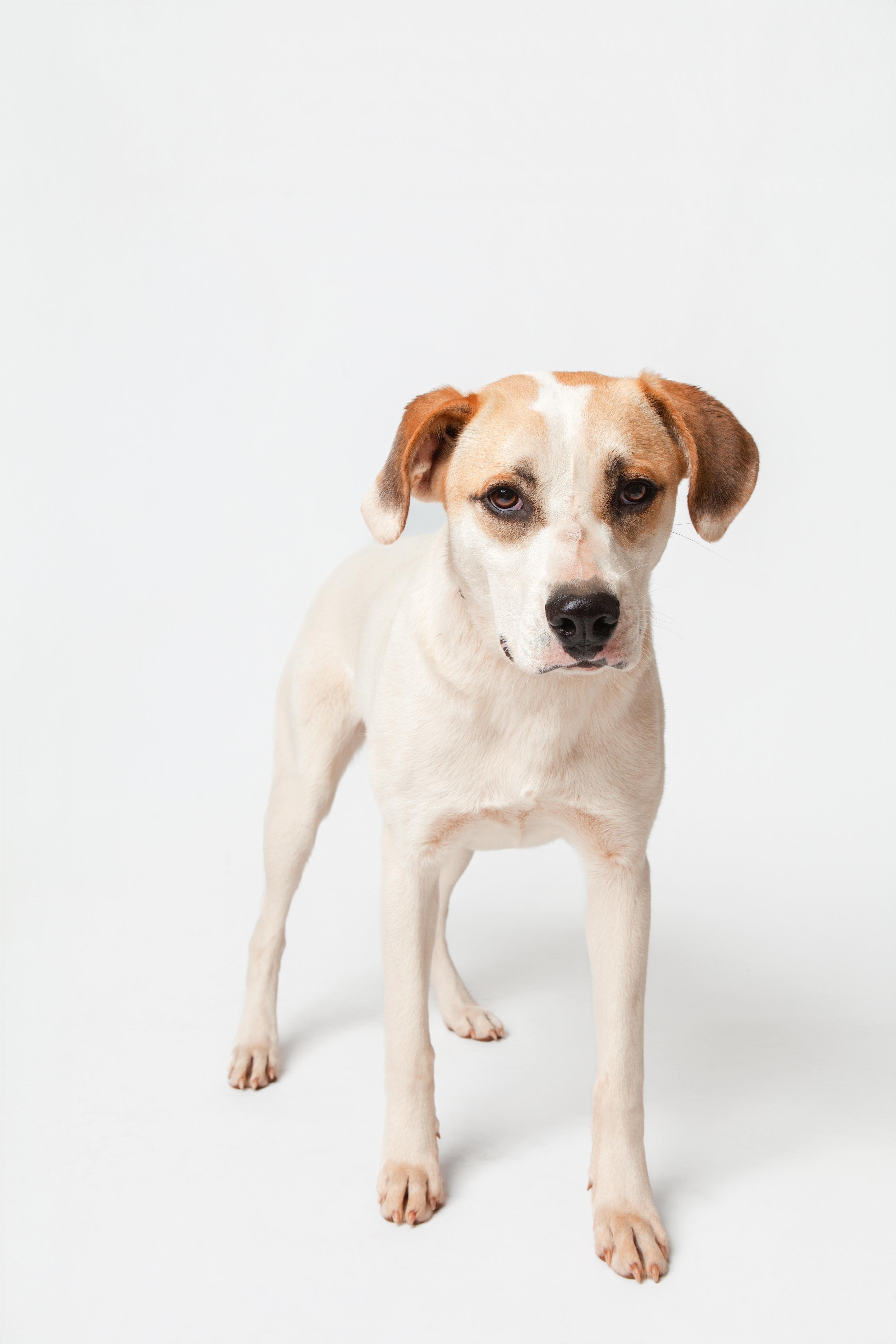 Jalen Williams thumbnail 3