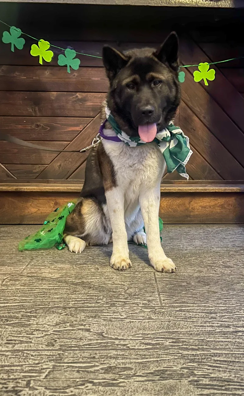 Pretty Princess thumbnail 2