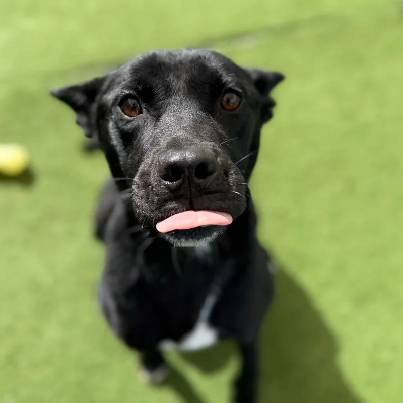 Constantine thumbnail 2