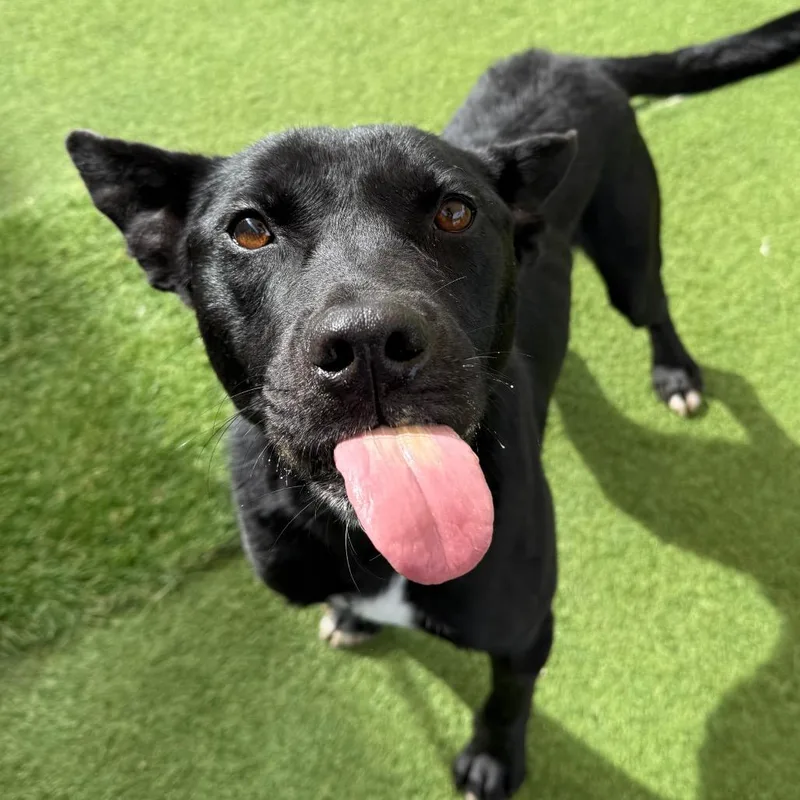 Constantine thumbnail 3