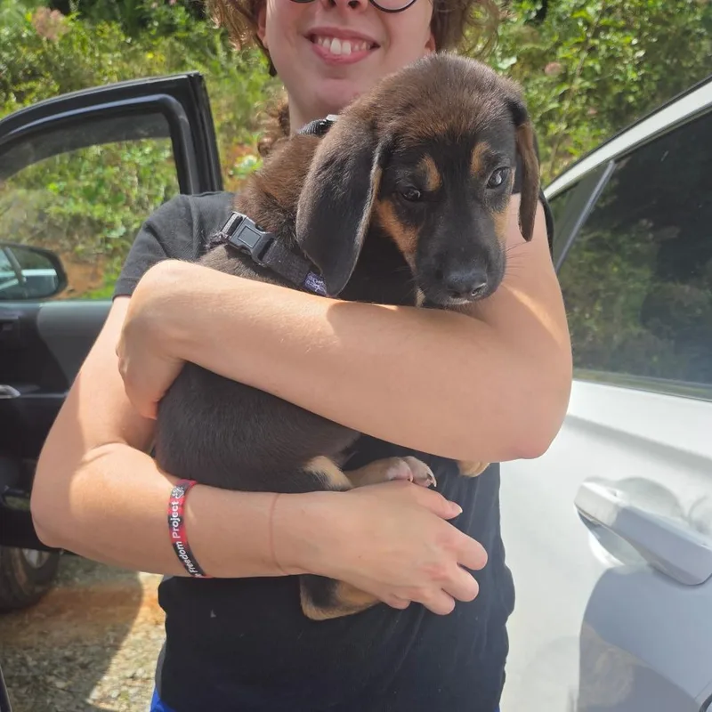LucyFur thumbnail 4