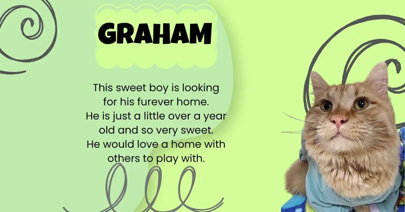 Graham