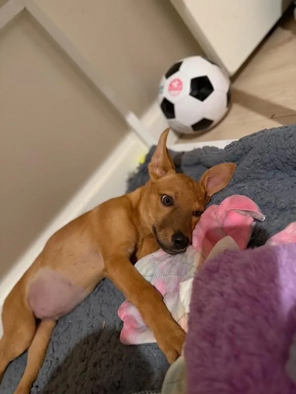 Angie thumbnail 3