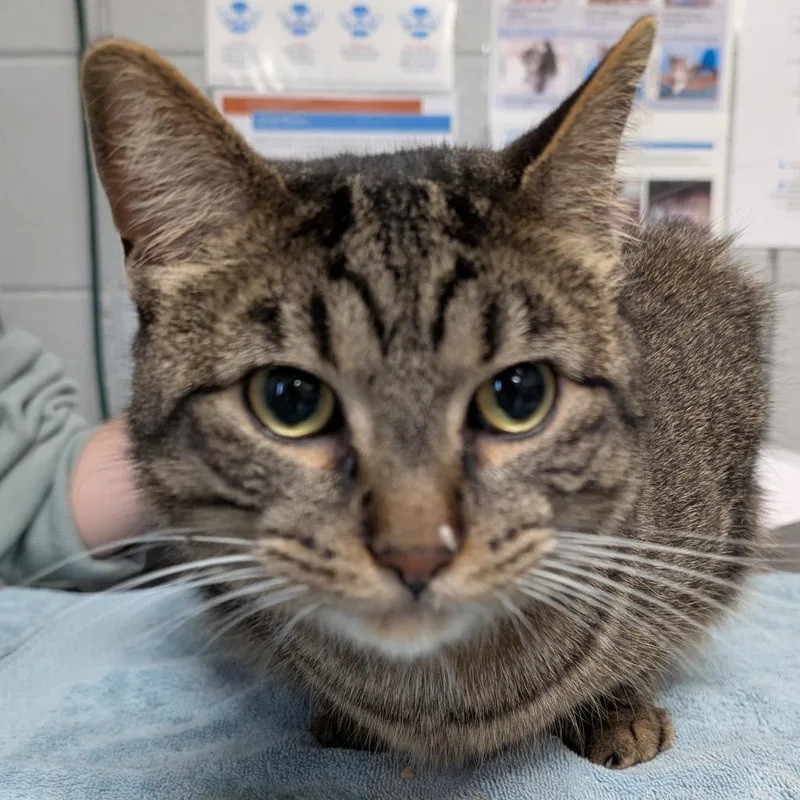 Teddy Gramz thumbnail 2