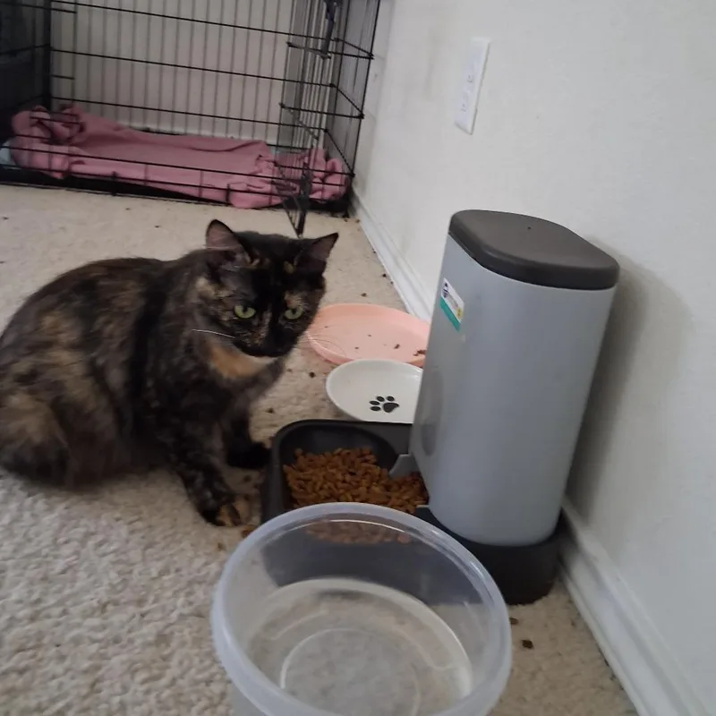 Artemis