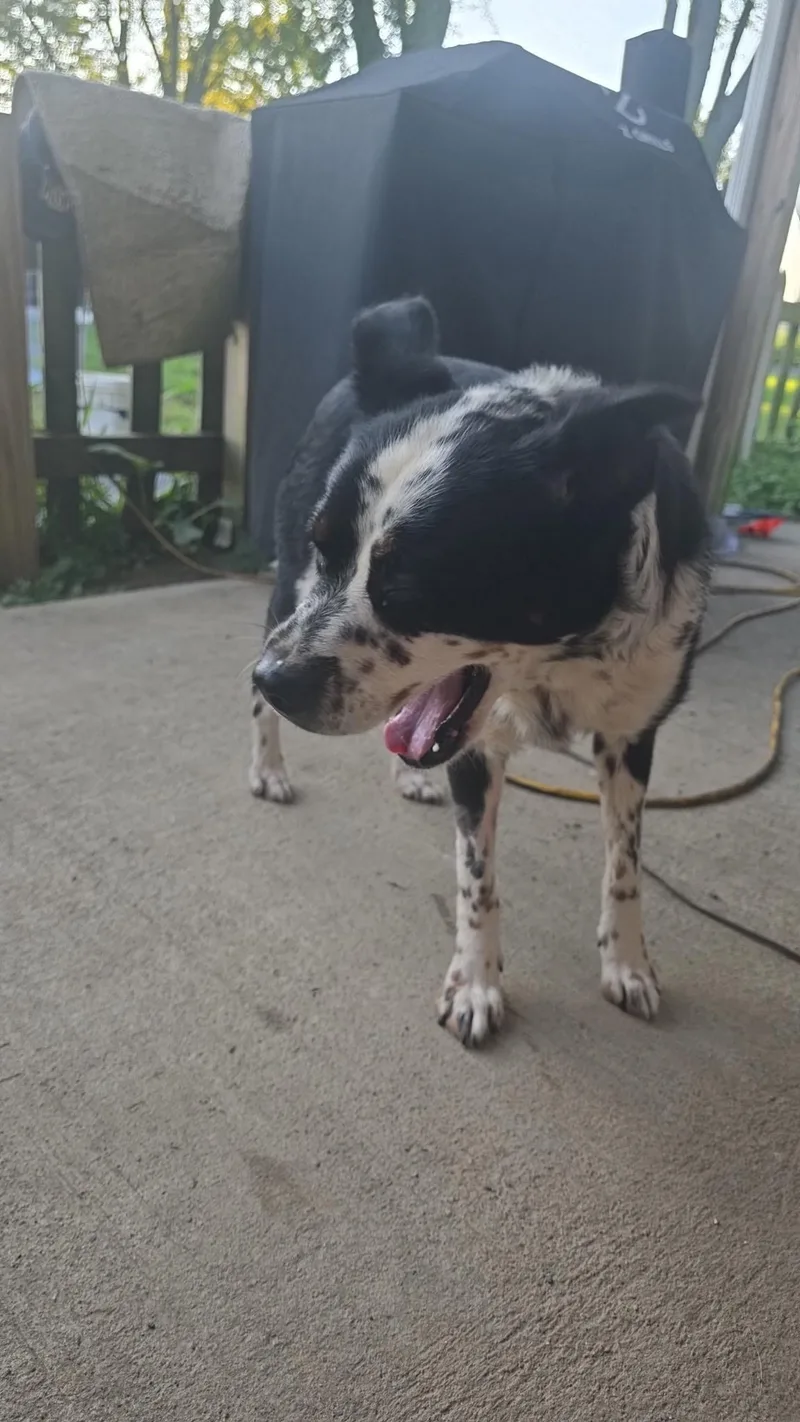 Luna sweet gentle girl