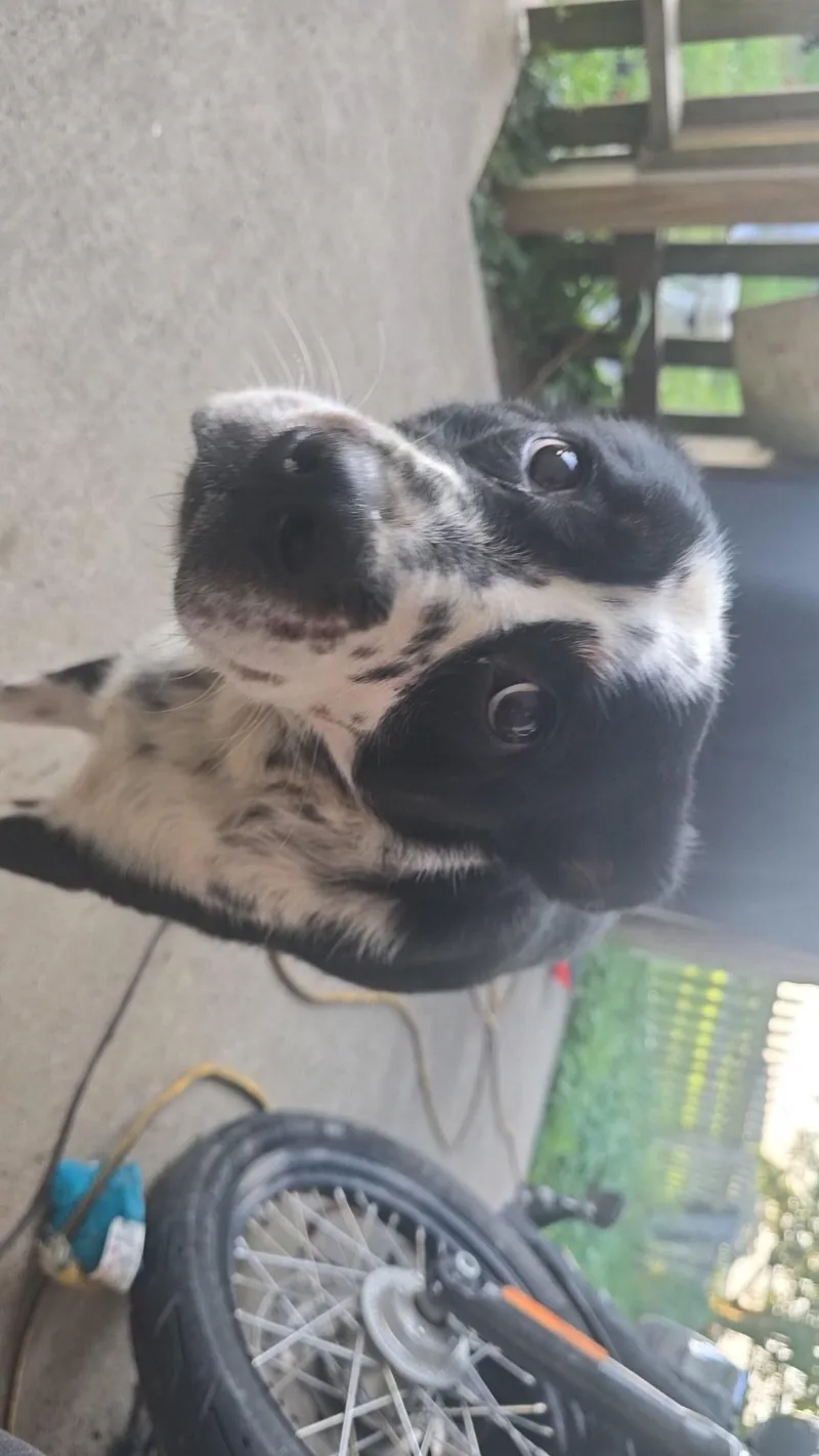 Luna sweet gentle girl thumbnail 2