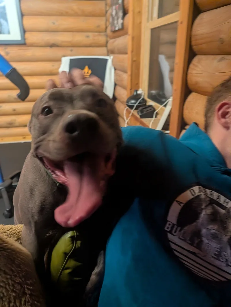 Subbie thumbnail 2