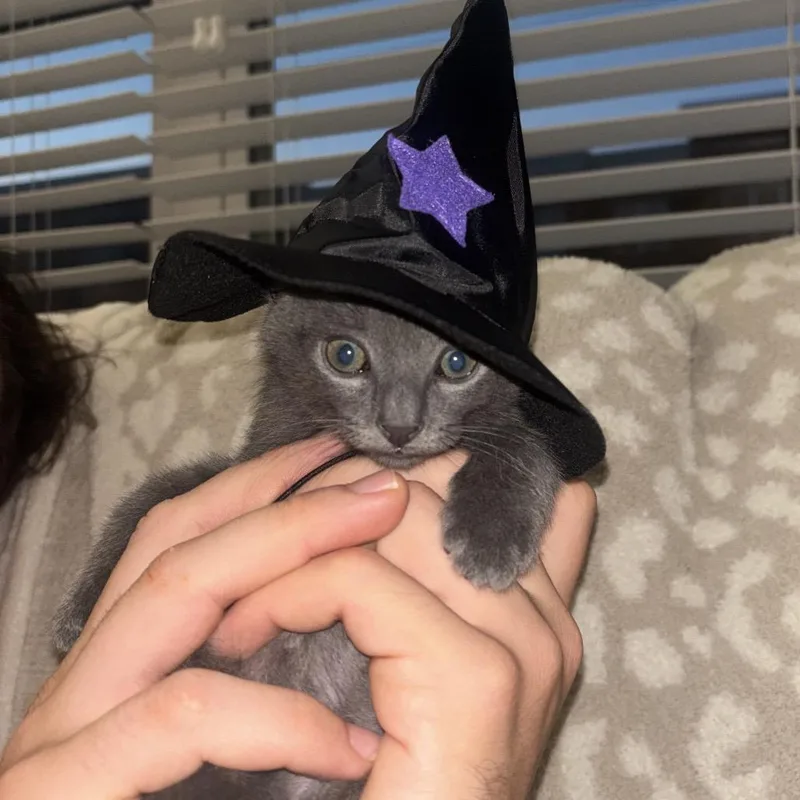 Smokey thumbnail 5