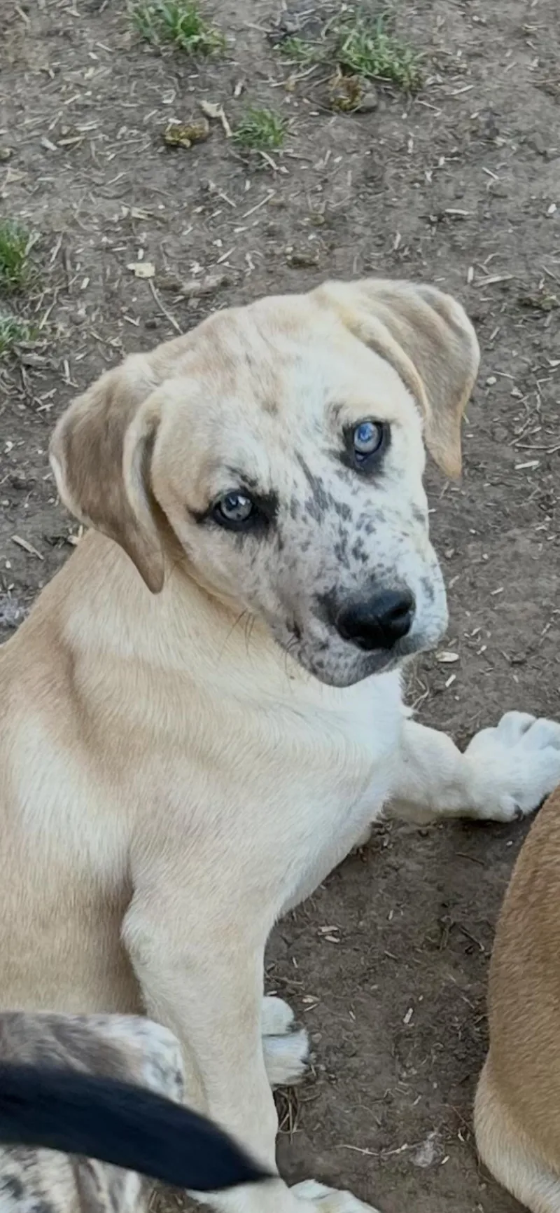 Freckles thumbnail 5