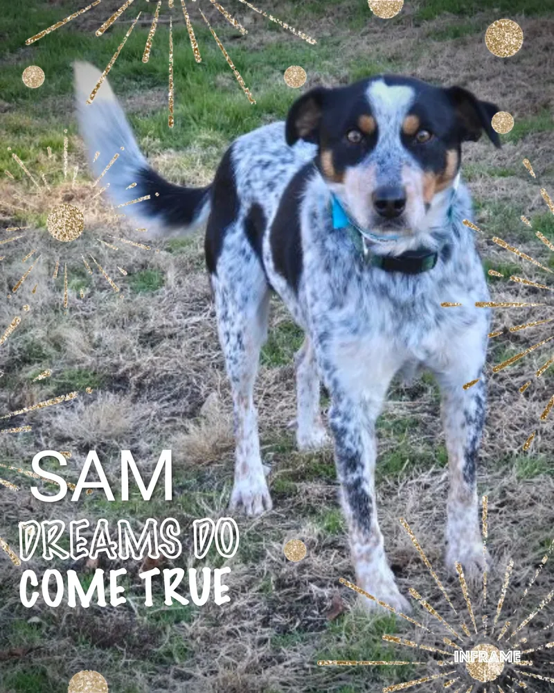Sam