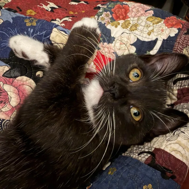 Sprite thumbnail 5