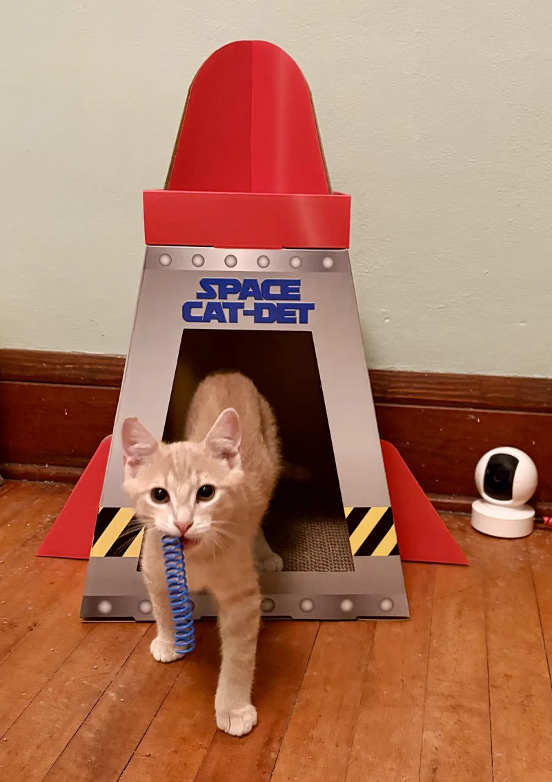 Kipper thumbnail 2