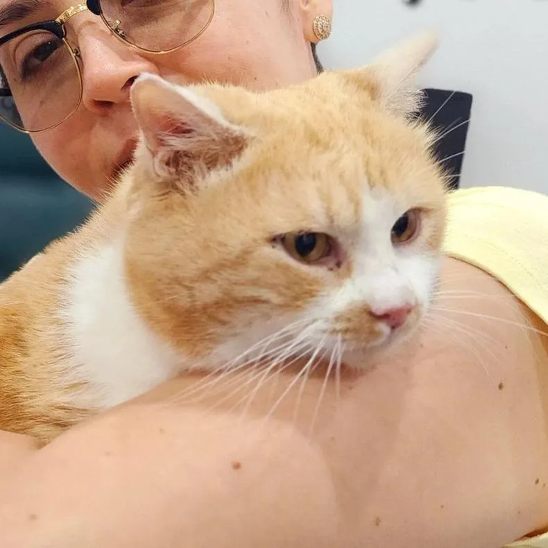 Hope  Qatar thumbnail 3